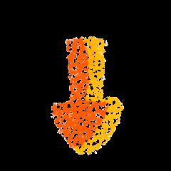 DƬ